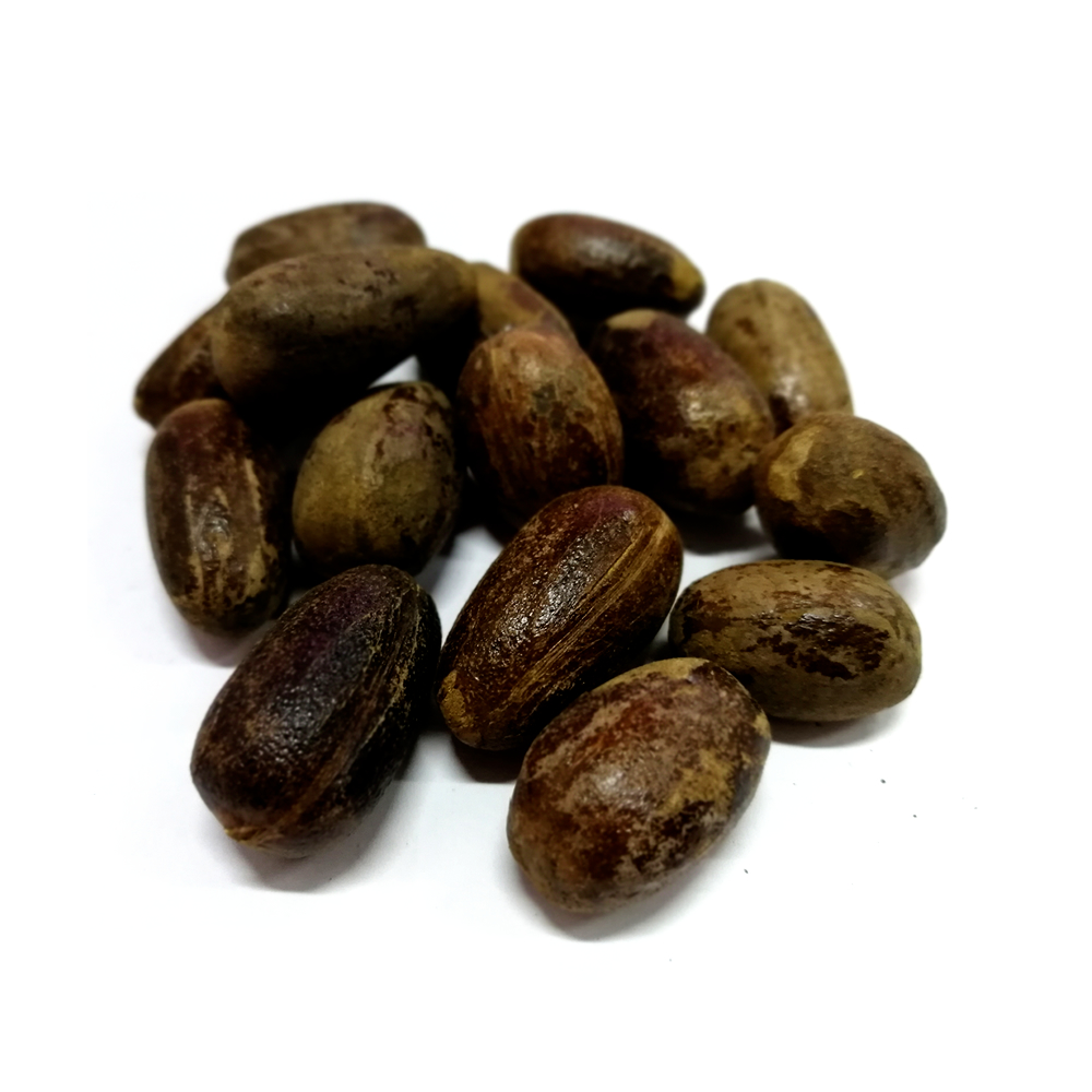 香果.jpg
