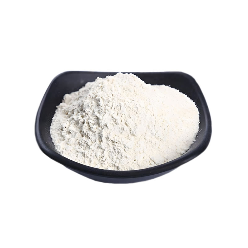 Onion Powder